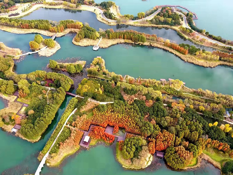 MILE米乐·(中国)集团-MILESPORTS